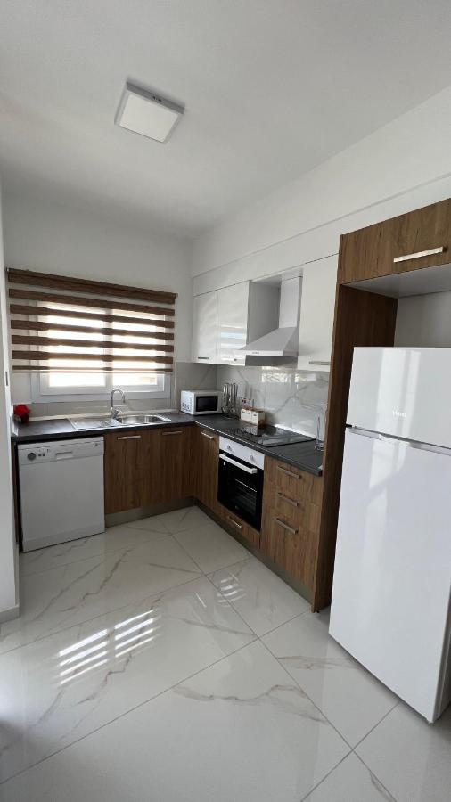 Tetris Apartment Spacious Comfortable 尼科西亚 外观 照片