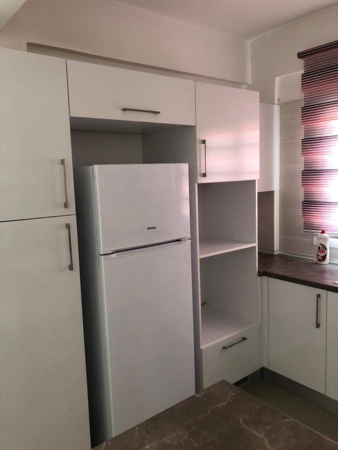 Tetris Apartment Spacious Comfortable 尼科西亚 外观 照片