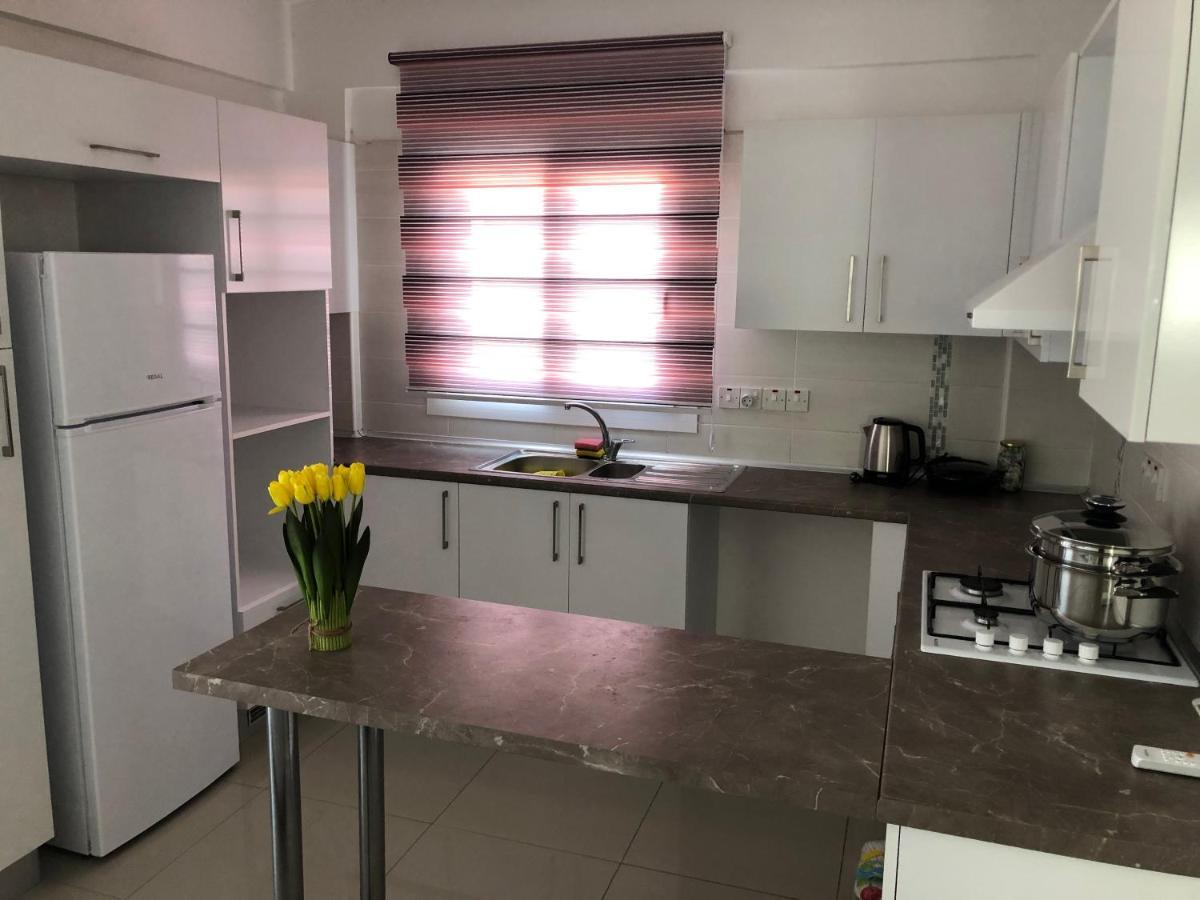 Tetris Apartment Spacious Comfortable 尼科西亚 外观 照片