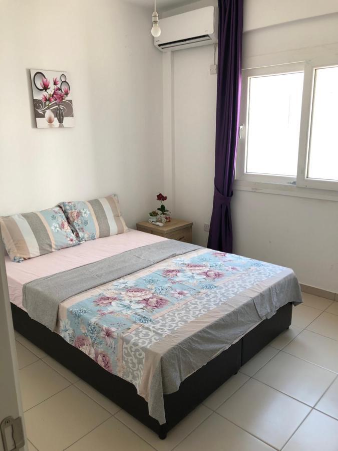 Tetris Apartment Spacious Comfortable 尼科西亚 外观 照片