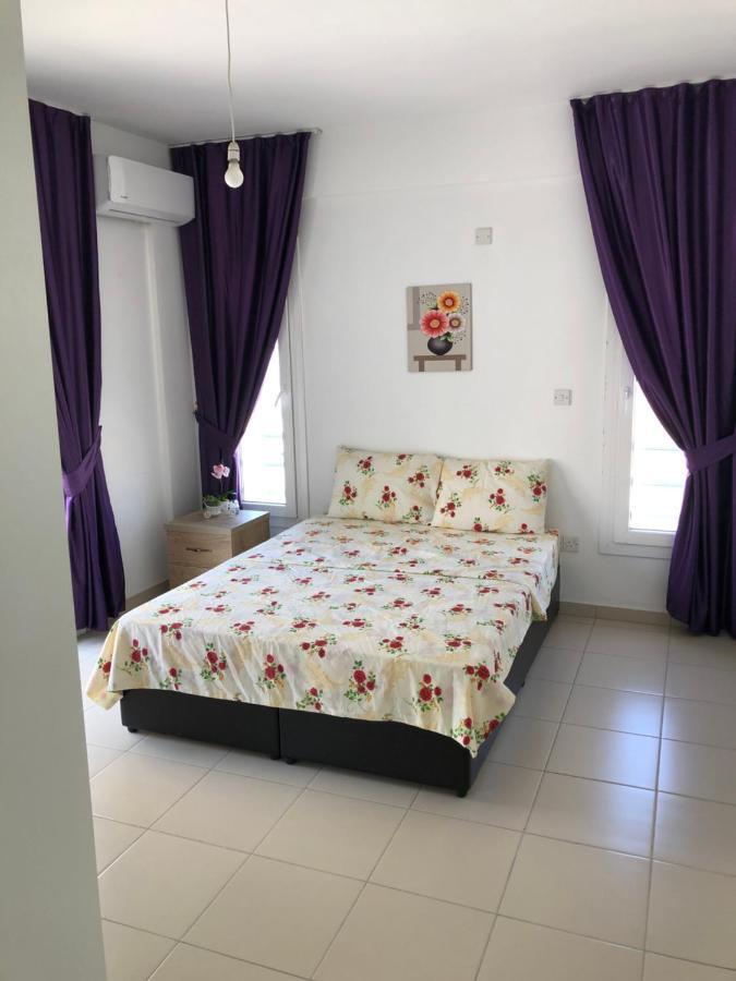 Tetris Apartment Spacious Comfortable 尼科西亚 外观 照片